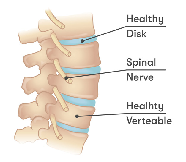 Interventional Pain Management, Pain Management Solutions, Chronic Pain Treatment, Nerve Pain Management, Spinal Cord Stimulator, Non-Surgical Pain Relief, Medial Branch Nerve Blocks, Joint Injections For Arthritis, Herniated Disc Treatment, Pain Relief For Muscle Strain, Pain Alleviation