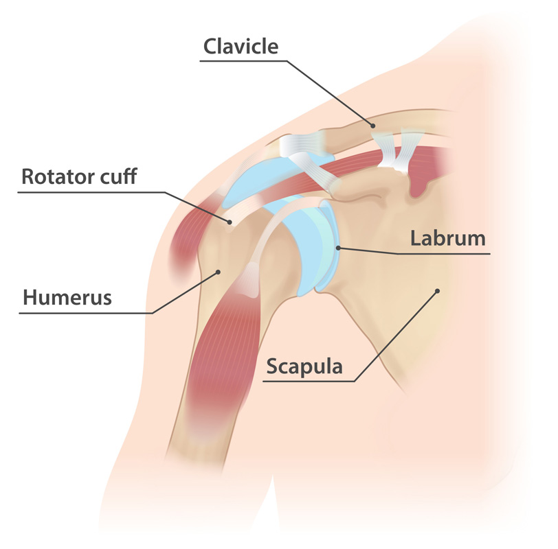 Interventional Pain Management, Pain Management Solutions, Chronic Pain Treatment, Nerve Pain Management, Spinal Cord Stimulator, Non-Surgical Pain Relief, Medial Branch Nerve Blocks, Joint Injections For Arthritis, Herniated Disc Treatment, Pain Relief For Muscle Strain, Pain Alleviation