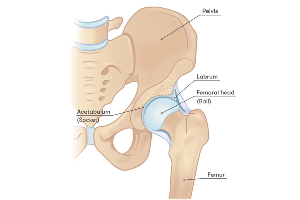 Interventional Pain Management, Pain Management Solutions, Chronic Pain Treatment, Nerve Pain Management, Spinal Cord Stimulator, Non-Surgical Pain Relief, Medial Branch Nerve Blocks, Joint Injections For Arthritis, Herniated Disc Treatment, Pain Relief For Muscle Strain, Pain Alleviation