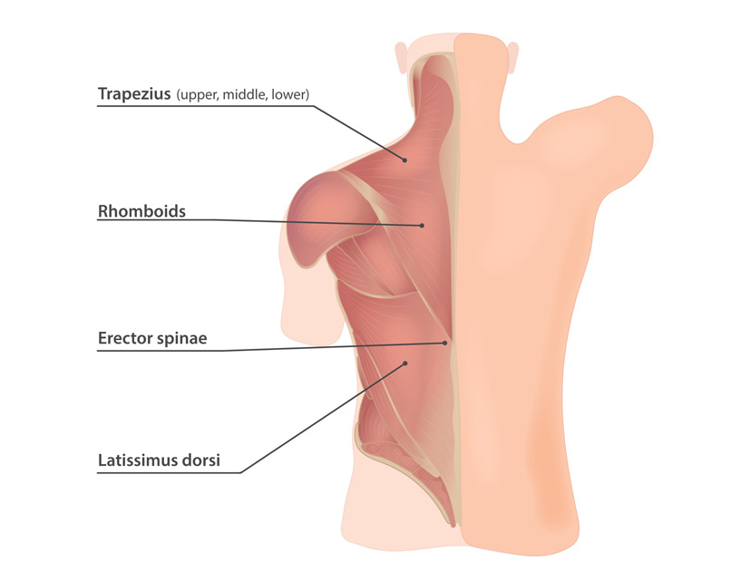 Interventional Pain Management, Pain Management Solutions, Chronic Pain Treatment, Nerve Pain Management, Spinal Cord Stimulator, Non-Surgical Pain Relief, Medial Branch Nerve Blocks, Joint Injections For Arthritis, Herniated Disc Treatment, Pain Relief For Muscle Strain, Pain Alleviation