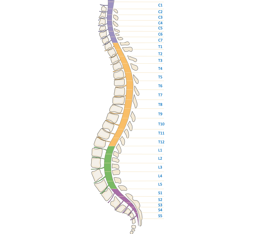 Interventional Pain Management, Pain Management Solutions, Chronic Pain Treatment, Nerve Pain Management, Spinal Cord Stimulator, Non-Surgical Pain Relief, Medial Branch Nerve Blocks, Joint Injections For Arthritis, Herniated Disc Treatment, Pain Relief For Muscle Strain, Pain Alleviation