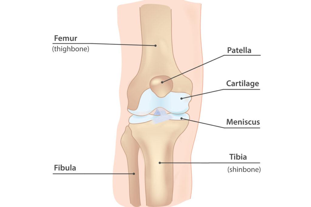 Interventional Pain Management, Pain Management Solutions, Chronic Pain Treatment, Nerve Pain Management, Spinal Cord Stimulator, Non-Surgical Pain Relief, Medial Branch Nerve Blocks, Joint Injections For Arthritis, Herniated Disc Treatment, Pain Relief For Muscle Strain, Pain Alleviation